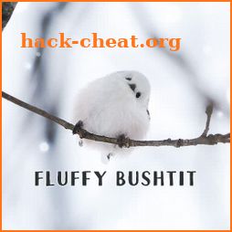 Cute Wallpaper Fluffy Bushtit Theme icon