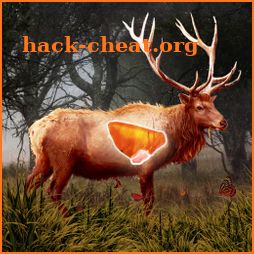 Deer Target Hunting - Pro icon