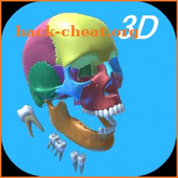 Dental Anatomy & Skull icon