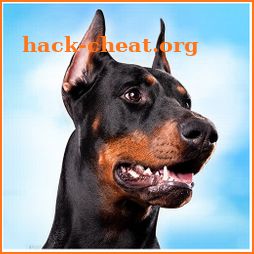 Doberman Dog Simulator icon