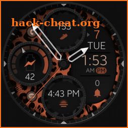 Dream 150 Leopard Watch Face icon