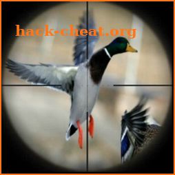 Duck Hunting Calls icon