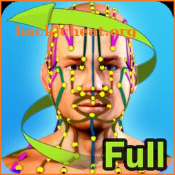 Easy Acupuncture 3D -FULL icon