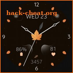 Elegant Autumn watch face icon