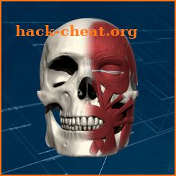 Face 3D Plus icon