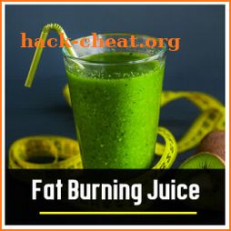 Fat Burning Juice icon