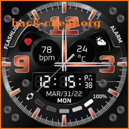 Ferrum Watch Face icon