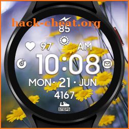 FLOW Digital Watch Face icon