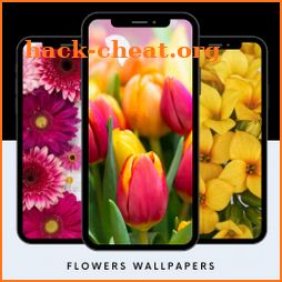 Flowers Wallpapers icon