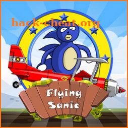 Flying Sanic icon