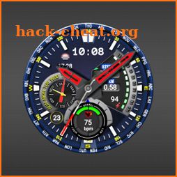 FS W246 Watchface icon