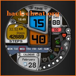 FS W256 Watch face icon