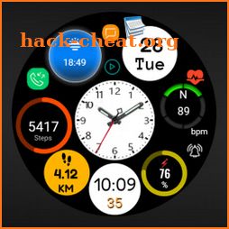 FS W263 Hybrid Watch face icon