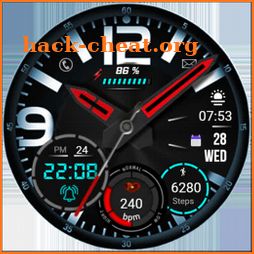 FSW208 WATCHFACE icon