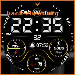 FSW220 WATCHFACE icon