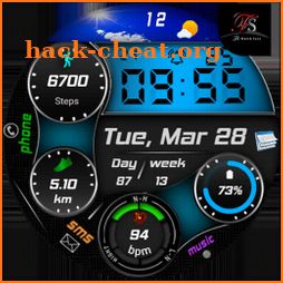 FSW224 WATCHFACE icon