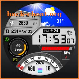 FSW266 Digital Watchface icon