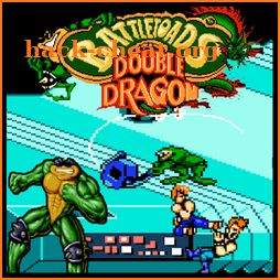 Guide DoubleDragon BattleToads icon