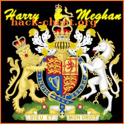 Harry & Meghan Wedding Day Procession icon