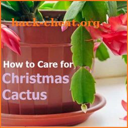 How to Care for a Christmas Cactus icon