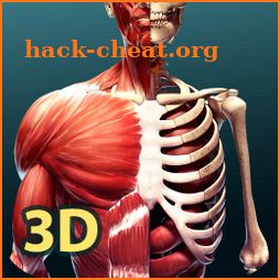 Human Anatomy 3D icon