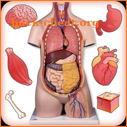 Human Anatomy Body Parts Guide icon