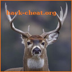 Hunting Camera Pro icon