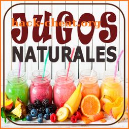 Jugos Saludables icon