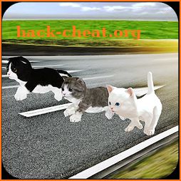 Kitten Cat Craft Racing:Cute Cat World Tournament icon