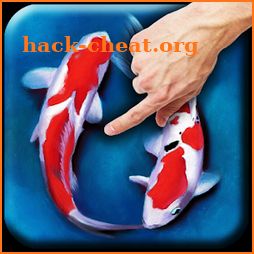 Koi - Aquarium icon