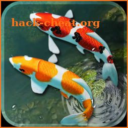 Koi Fish Live Wallpaper 3D: Aquarium Background Hd icon