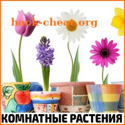 Комнатные растения и уход за цветами icon