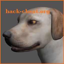 Labrador Pose Tool 3D icon