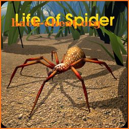 Life of Spider icon