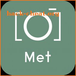 Metropolitan Museum of Art Guide & Tours icon