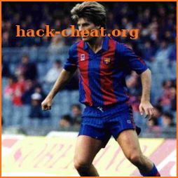 Michael Laudrup icon