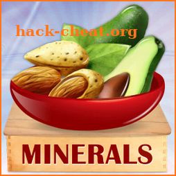 Minerals & Antioxidants Foods icon