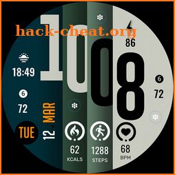 ML2U 147 Watch Face icon