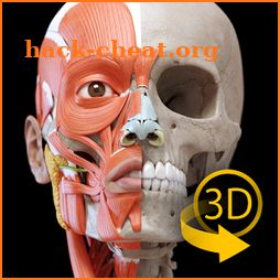 Muscle | Skeleton - 3D Anatomy icon