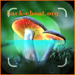 Mushroom Identifier - Picture Mushroom icon