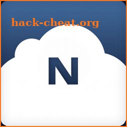 NetSuite icon