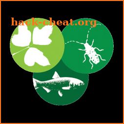 NJ Invasives icon