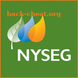 NYSEG icon