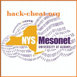 NYSMesonet icon