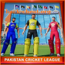 Pakistan Cricket League 2020: Play live Cricket icon