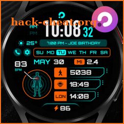 PRADO 33 Digital Watch Face icon