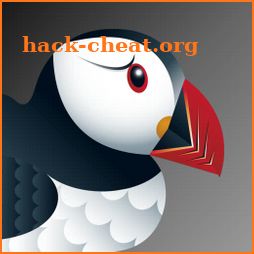 Puffin Incognito Browser icon