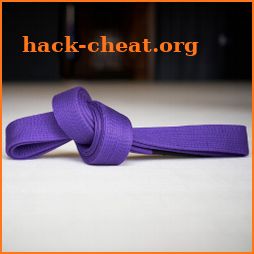 Purple Belt Requirements 2.0 icon