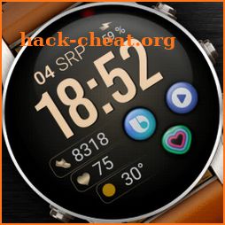 PWW47 - Sport Digi Watch Face icon