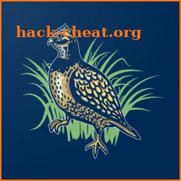 Quail Tools icon